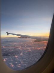 IMG 7439