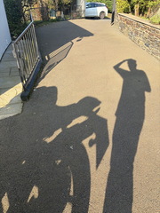 IMG 7480